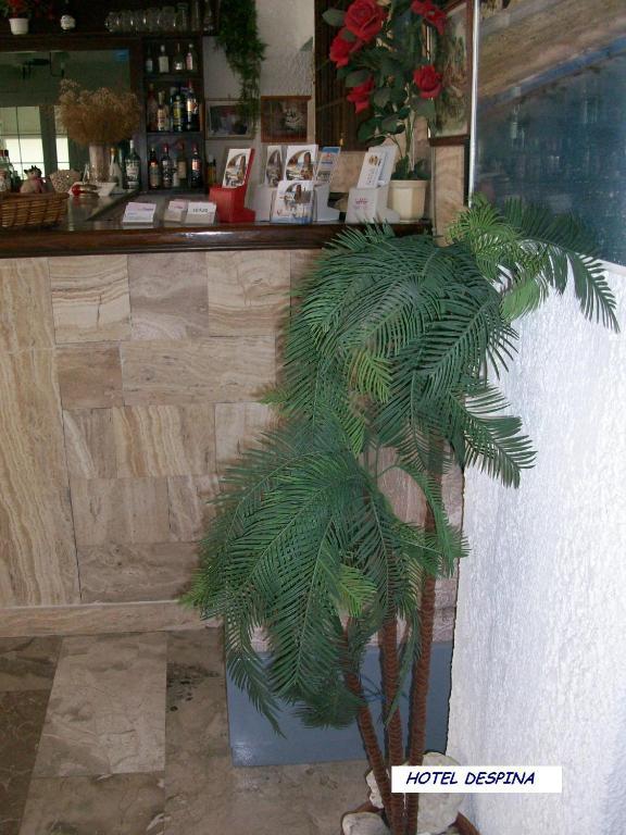 德斯皮纳酒店 赫索尼索斯 外观 照片